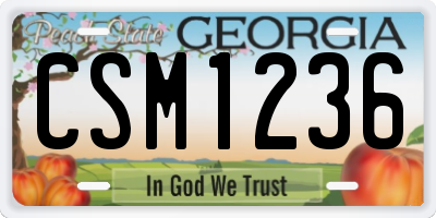 GA license plate CSM1236