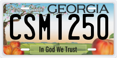GA license plate CSM1250