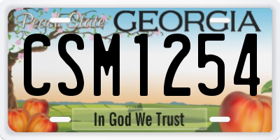 GA license plate CSM1254