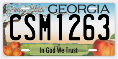 GA license plate CSM1263