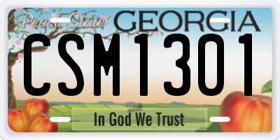 GA license plate CSM1301