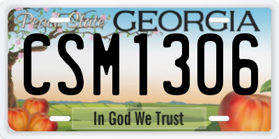 GA license plate CSM1306