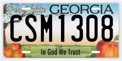 GA license plate CSM1308