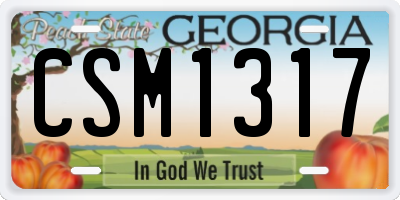 GA license plate CSM1317