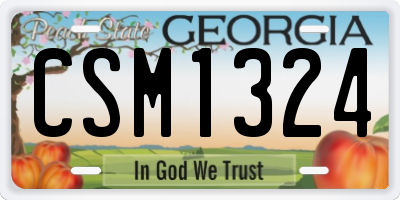 GA license plate CSM1324