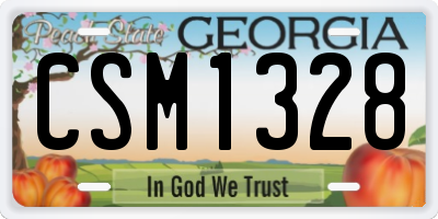 GA license plate CSM1328