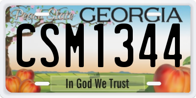 GA license plate CSM1344