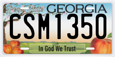 GA license plate CSM1350