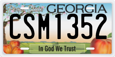 GA license plate CSM1352