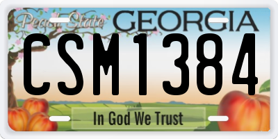 GA license plate CSM1384