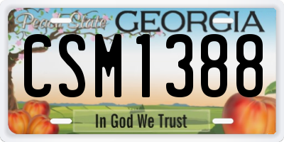 GA license plate CSM1388
