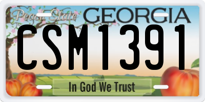 GA license plate CSM1391