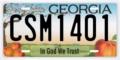 GA license plate CSM1401