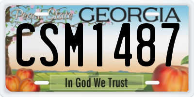 GA license plate CSM1487