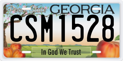 GA license plate CSM1528