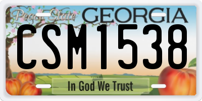 GA license plate CSM1538