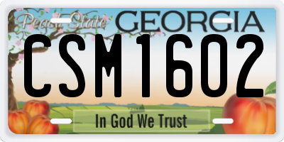 GA license plate CSM1602
