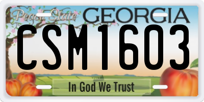 GA license plate CSM1603