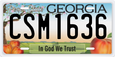 GA license plate CSM1636