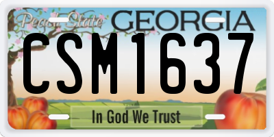 GA license plate CSM1637