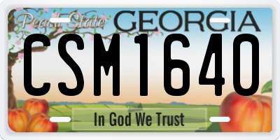 GA license plate CSM1640
