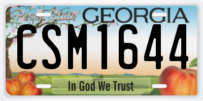 GA license plate CSM1644