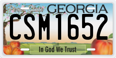 GA license plate CSM1652