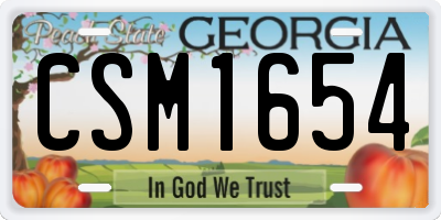 GA license plate CSM1654
