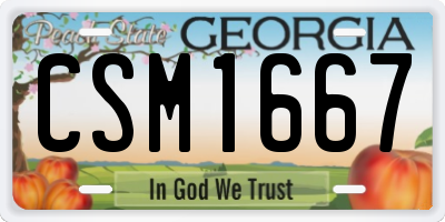 GA license plate CSM1667