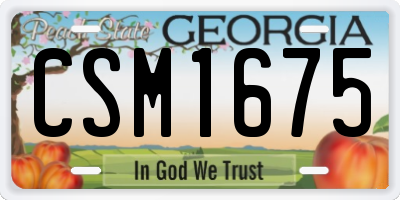 GA license plate CSM1675