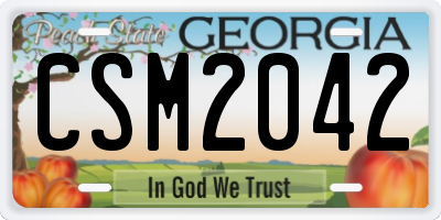 GA license plate CSM2042
