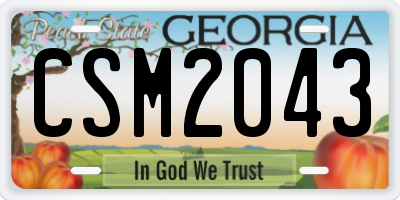 GA license plate CSM2043