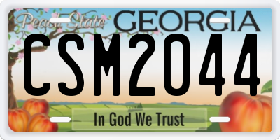 GA license plate CSM2044