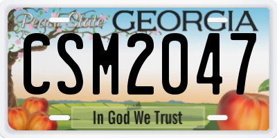 GA license plate CSM2047