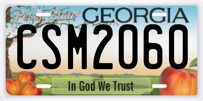 GA license plate CSM2060