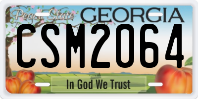 GA license plate CSM2064