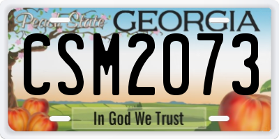 GA license plate CSM2073