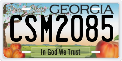 GA license plate CSM2085