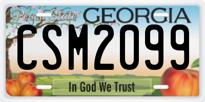 GA license plate CSM2099