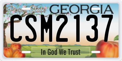 GA license plate CSM2137