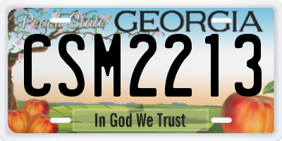 GA license plate CSM2213