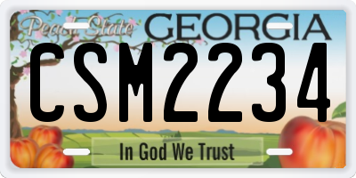 GA license plate CSM2234