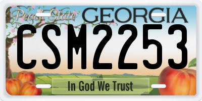 GA license plate CSM2253