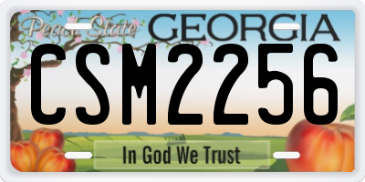GA license plate CSM2256