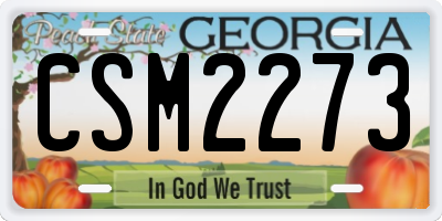 GA license plate CSM2273