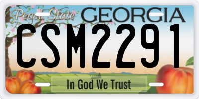 GA license plate CSM2291
