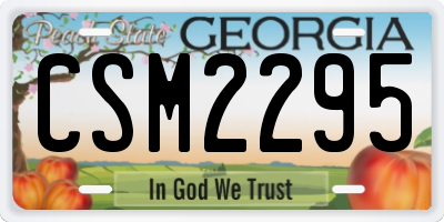 GA license plate CSM2295