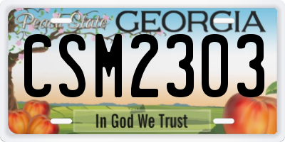 GA license plate CSM2303