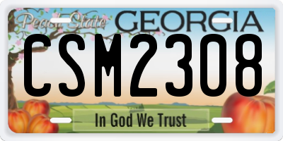 GA license plate CSM2308