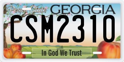 GA license plate CSM2310